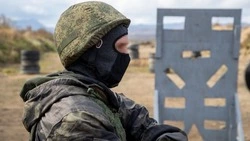 Сотрудники Минвостокразвития и КРДВ отправятся добровольцами на СВО