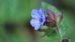 Церковный праздник 26 апреля 2025: что нельзя делать в этот день, приметы 