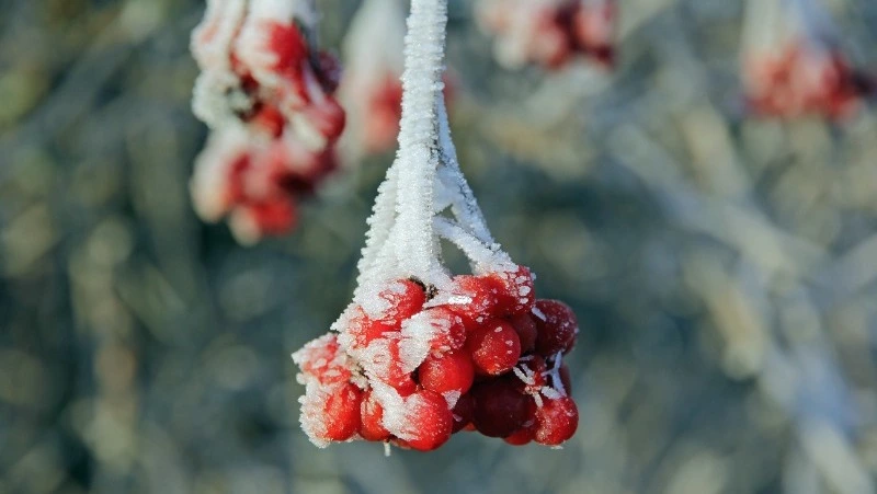 Народные приметы на 8 февраля 2024: что нельзя делать в этот день