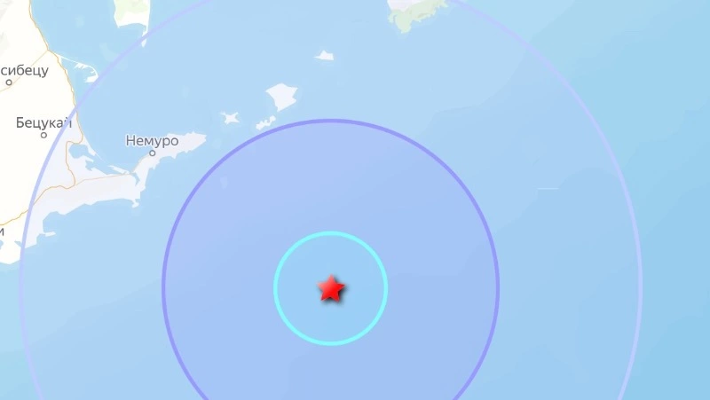 Очередное землетрясение магнитудой больше 4 зафиксировали у берегов Курил