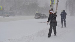 Сильный снег с дождем обрушится на Сахалин: названа дата