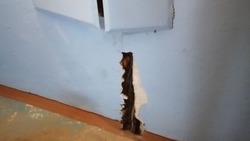 Электрики проломили стену в подъезде дома в Южно-Сахалинске