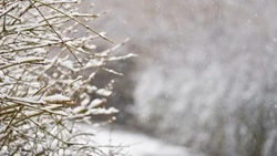 Сильные осадки выпадут на Курильских островах 18 марта