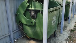 Жителям Долинска потребовалась помощь мэрии, чтобы срезать веревки с мусорных баков