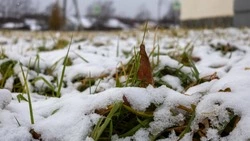 ЧП, природные катаклизмы и неожиданные уловы: главные новости выходных на Сахалине и Курилах