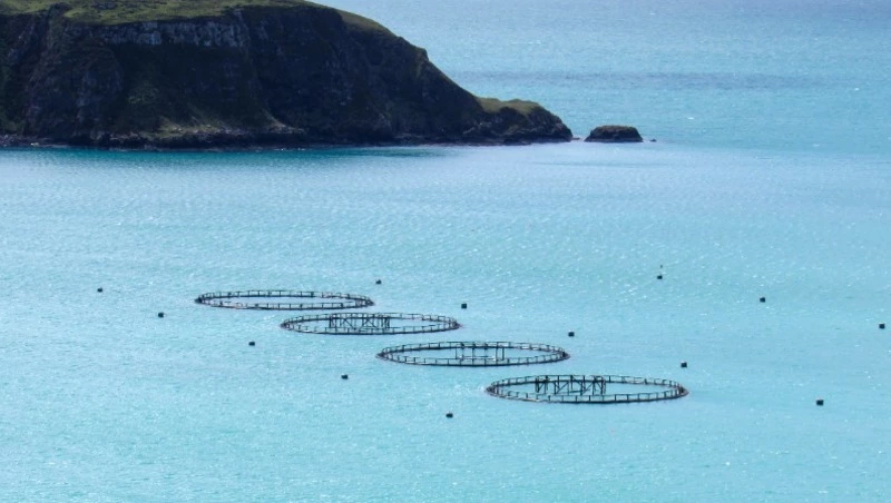 Участок в заливе Анива выставили на торги за 1,63 млн рублей