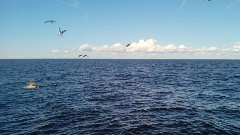 Научно-исследовательское судно «ТИНРО» завершило съемки у Южных Курил 