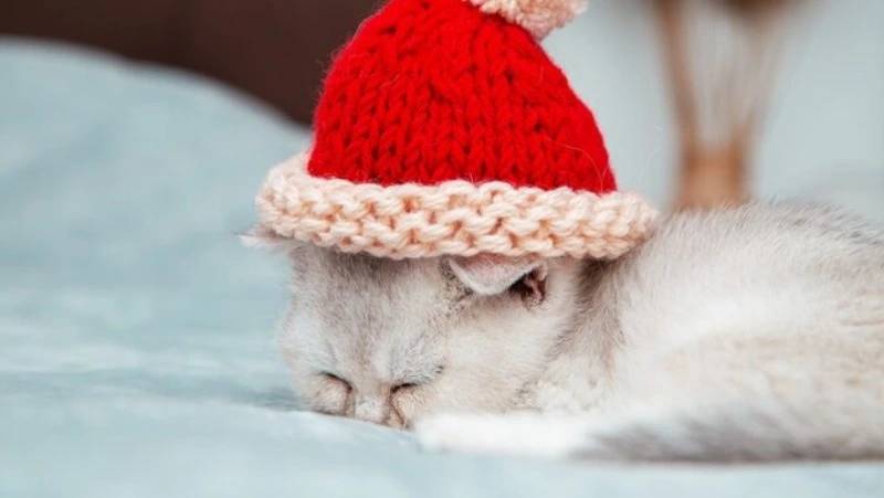 Горячую воду и отопление отключат на трех улицах Южно-Сахалинска 29 января 