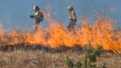 Пожарные за считанные минуты потушили сухую траву в Анивском районе