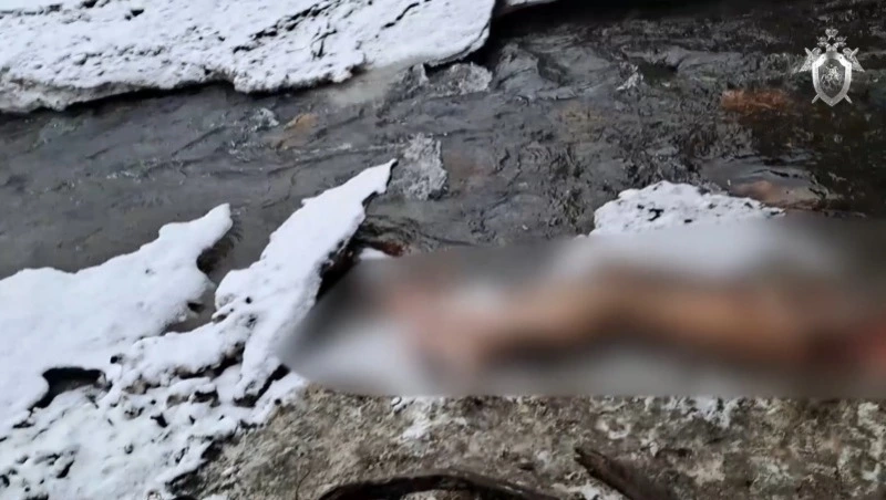 Следователи Сахалина нашли тело пропавшего мужчины и его предполагаемого убийцу