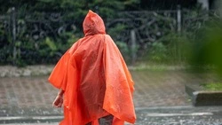 Циклон принесет сильные дожди и ветер в Сахалинскую область 