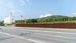 Редкие растения впишут в ландшафт территории комплекса «Газпром» в Южно-Сахалинске