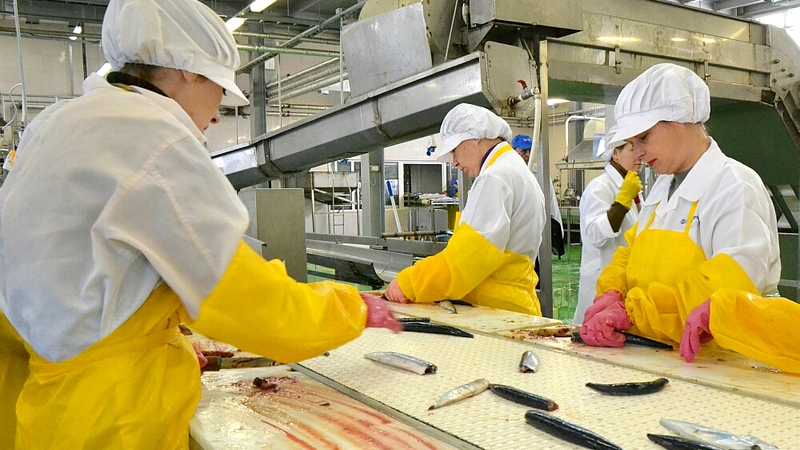 Глава сахалинского Роструда уволена из-за ситуации с рыбокомбинатом «Островной»