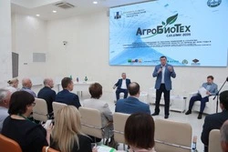 Сахалинская область представит на ВЭФ новые сельскохозяйственные инвестпроекты