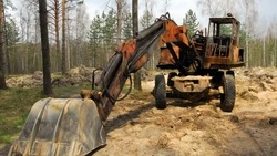 Сахалинский лесхоз требует с арендатора лесного участка 7-миллионный долг за аренду и неустойку