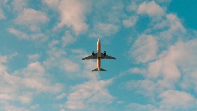 Сахалинцам предложили слетать в Сочи и обратно за 26 тысяч рублей