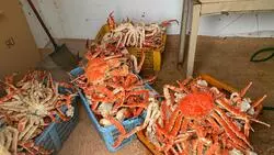 Сахалинец скупал крабов у браконьеров и готовил деликатесы в ужасных условиях