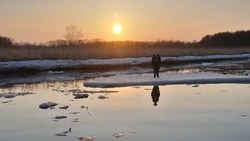 МЧС: в Анивском районе спасли ребенка, дрейфующего на льдине в устье Лютоги