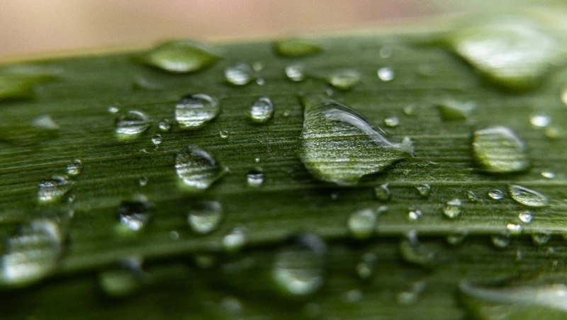 Циклон с Хоккайдо принесет дожди на юг Сахалина и Курил 