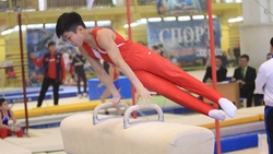 Мозоли гармонии