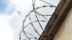 До трех лет тюрьмы грозит сахалинскому бизнесмену за сокрытие 7 млн рублей налогов