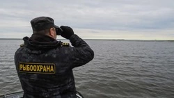 Рыбоохрана оштрафовала сахалинских рыбаков на 75 тысяч за неделю