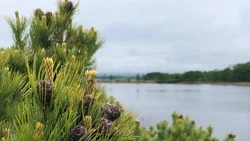 Идеальную локацию для дождливых выходных показали жителям Сахалина