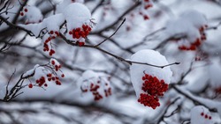 Антициклон и плюсовые температуры накроют Сахалин и Курилы