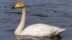 Топ достопримечательностей Невельска весны-2025 от Sakh.online