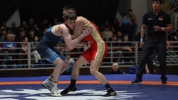 Сахалинские борцы завоевали 16 медалей домашнего чемпионата ДФО
