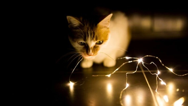 Жители Санаторного в Южно-Сахалинске остались без света 12 января