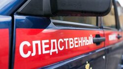 Следком не подтвердил слух о суициде водителя, который сбил 17-летнюю девочку в Корсакове