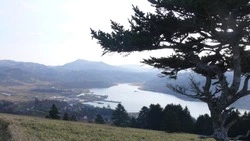 Сахалинский рыбокомбинат «Островной» отсудил у Минобороны земли на острове Шикотан 