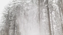 Морозы до -21 градуса придут в долины Сахалина 3 декабря