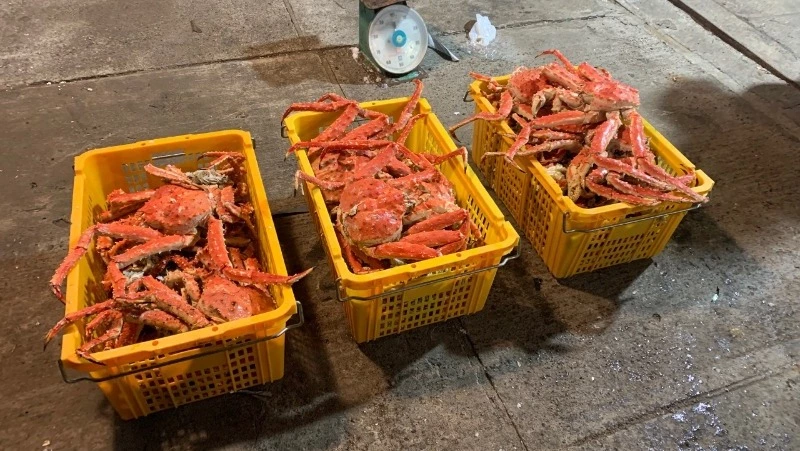 Полицейские накрыли подпольный цех по скупке и переработке краба в центре Сахалина