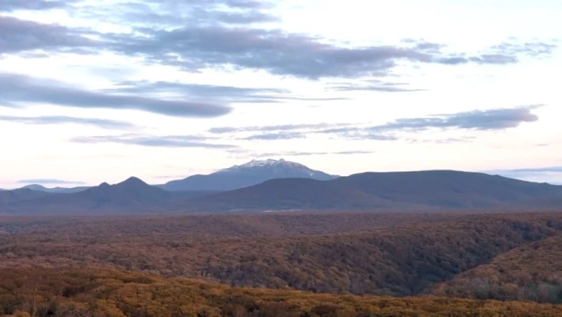 Итоги недели. Выпуск 25.10.25