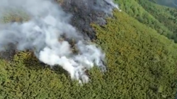 Лесной пожар на Сахалине шесть дней не удается потушить. Причины