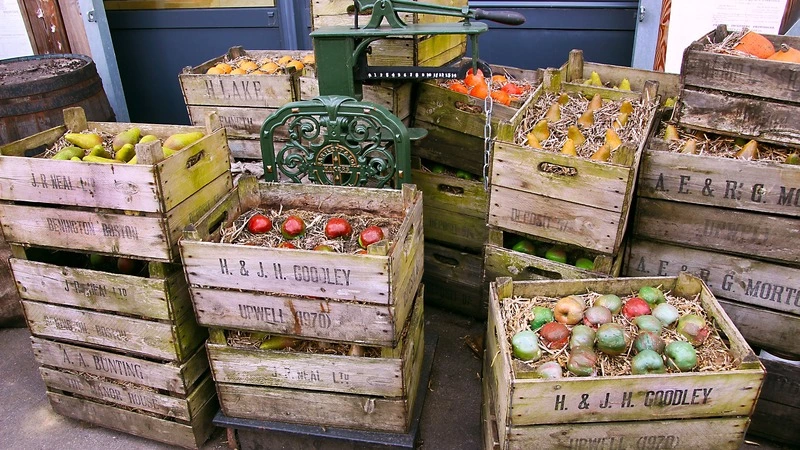 Сахалинских производителей научили защищать грузы от контакта с коронавирусом