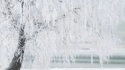 Занятия в школах Ноглик с 16 по 18 января проведут дистанционно из-за морозов