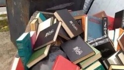 Книги в мусорке возле мэрии Хабаровска возмутили сахалинцев — ведомство ответило