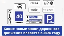 «Глухие пешеходы»: в России вводят новые дорожные знаки с начала 2026 года