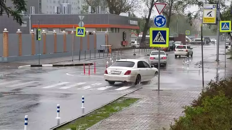 Один час жизни мини-кольца засняли в Южно-Сахалинске