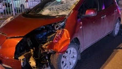 В ГАИ Южно-Сахалинска рассказали детали ДТП, в котором погиб пешеход с собакой