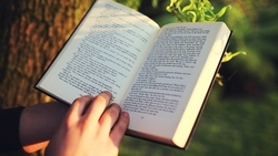 Литература в моей жизни