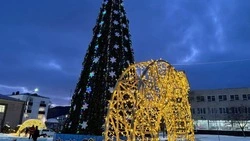 Вместе встретим Новый год!