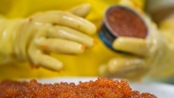 Роспотребнадзор дал рекомендации сахалинцам по выбору красной икры на Новый год