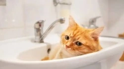 Микрорайон Южно-Сахалинска останется без горячей воды на две недели