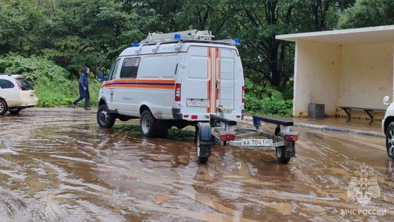 Двоих детей спасли из затопленного села в Невельском районе