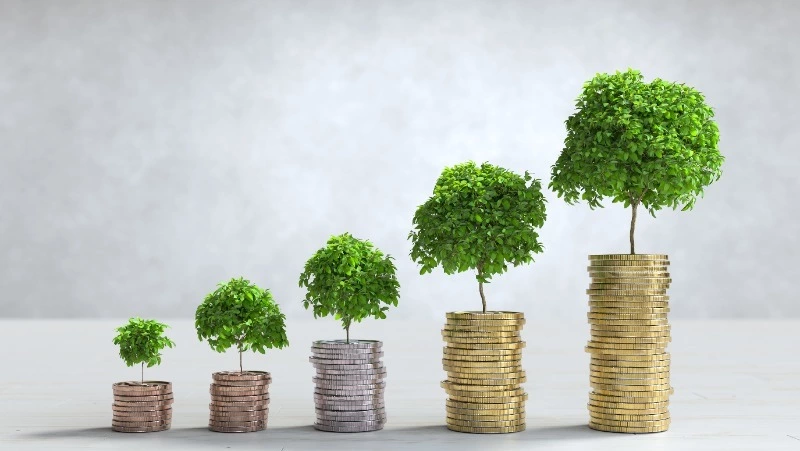 ГД приняла в первом чтении законопроект о соцвкладах до 50 тысяч рублей