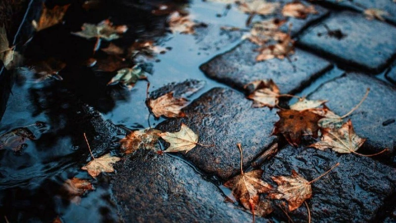 Прогноз погоды на Сахалине и Курилах 19 октября: дождь, туман и пасмурное небо